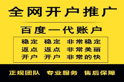 实战解析：SEM推广代运营案例